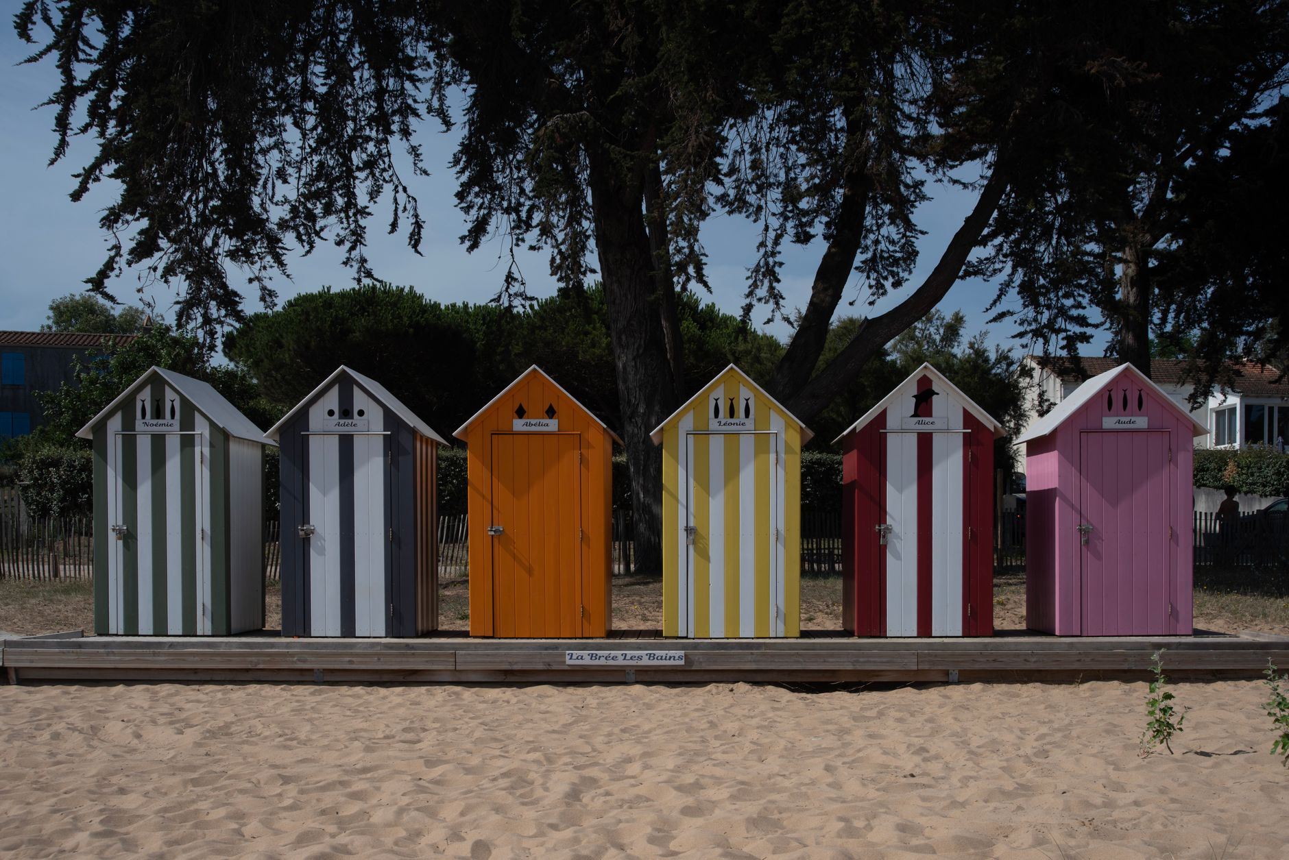 Agence de communication La Seyne-sur-Mer - La Seyne-sur-Mer